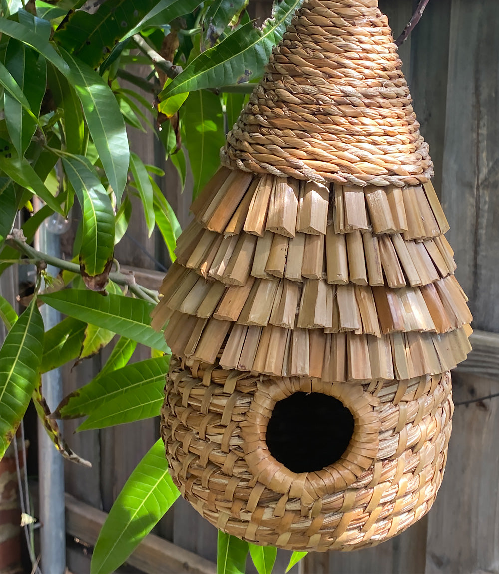 Bird nesting house hogla
