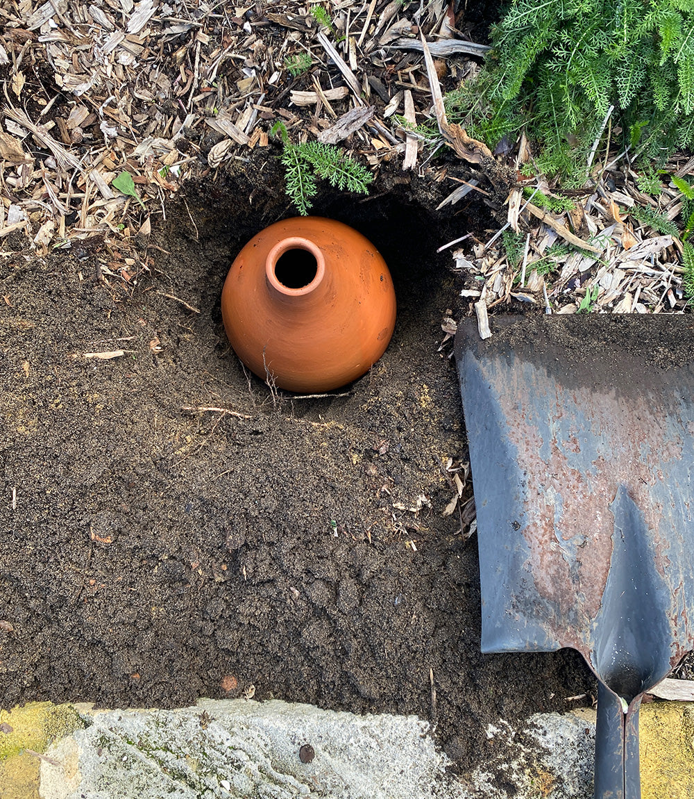 Olla watering pots