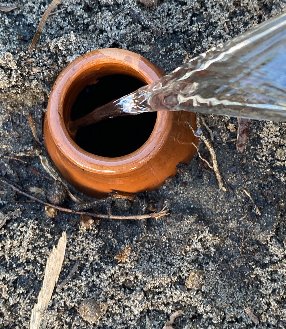 Olla watering pots