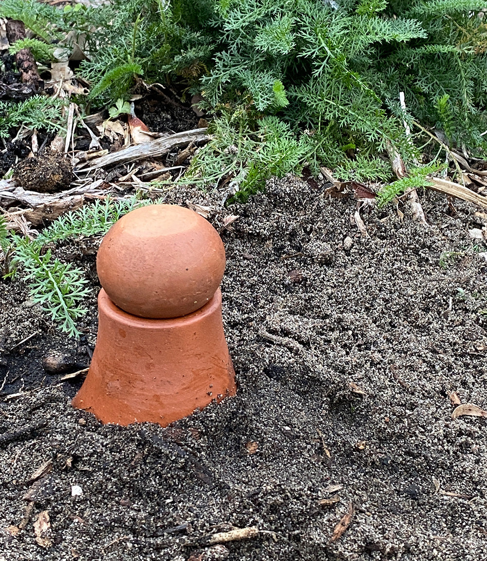 Olla watering pots