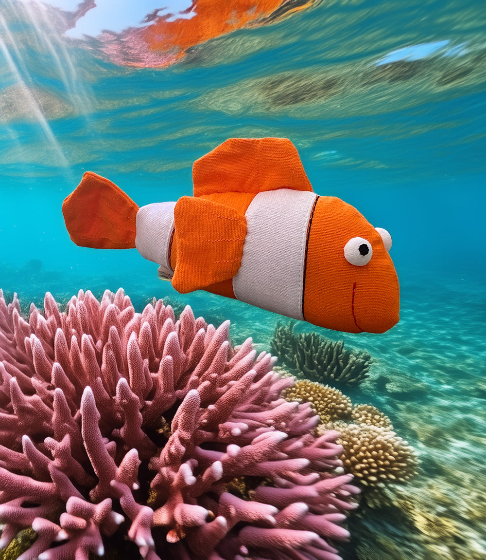 Camille Clown Fish