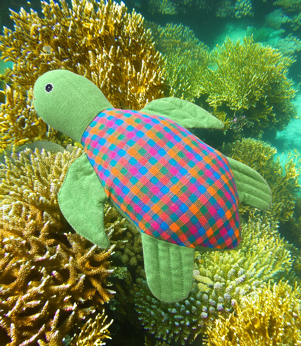 Teodor Turtle