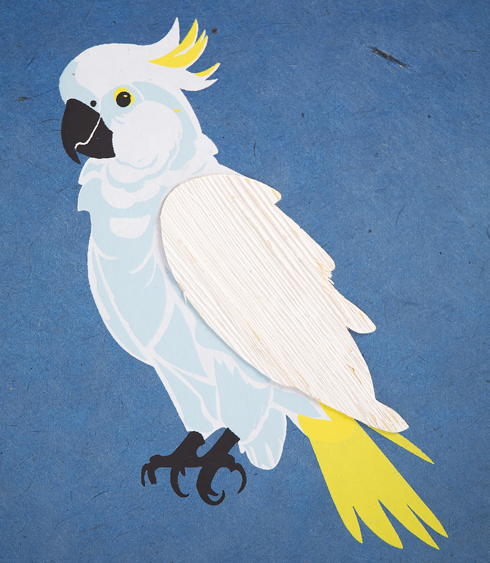 White parrot with yellow tail and crest on a blue background