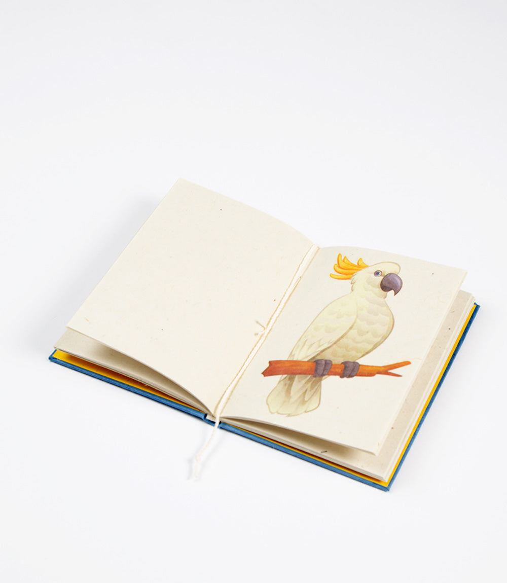 Open book with a illustration of a cockatoo on a white background