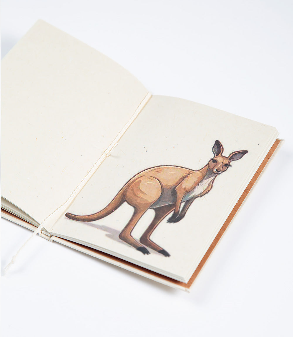 Open book with a kangaroo illustration on a white background