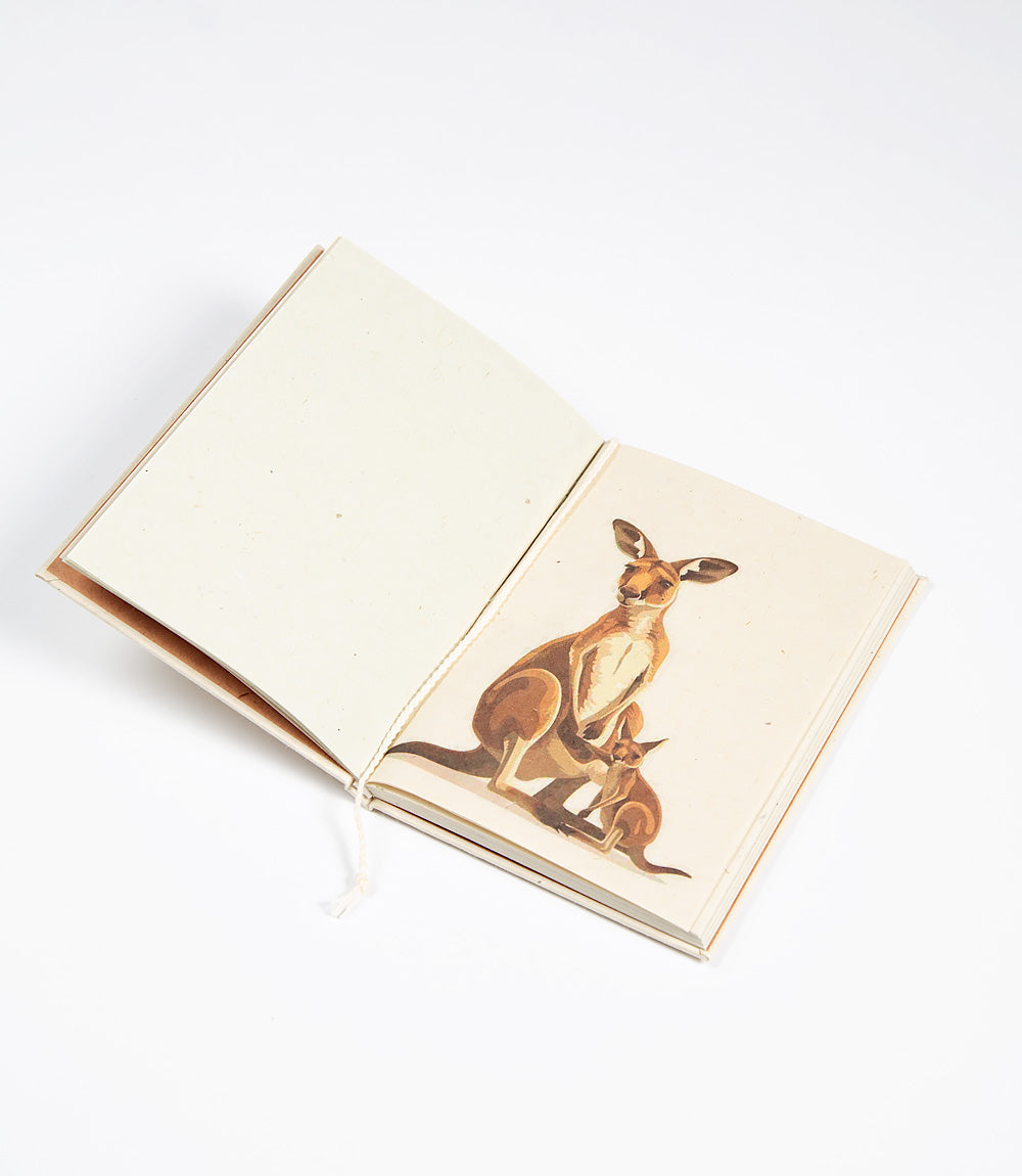 Open book with a kangaroo illustration on a white background