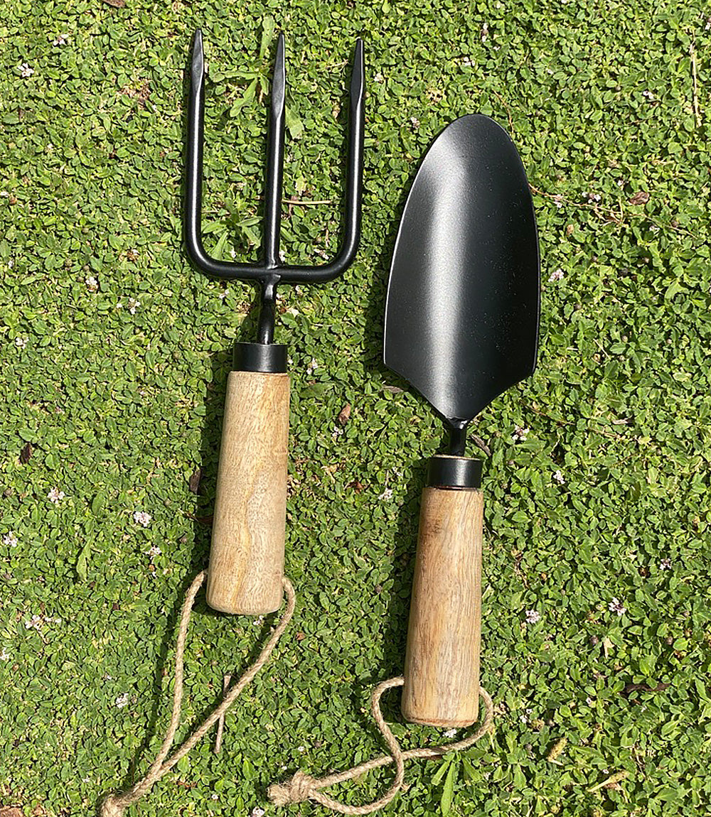 Trowel &amp; Fork Set