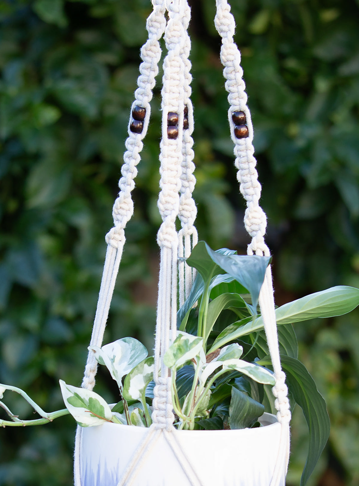Macrame Cotton Plant Hanger - Brown Bead. 104cm
