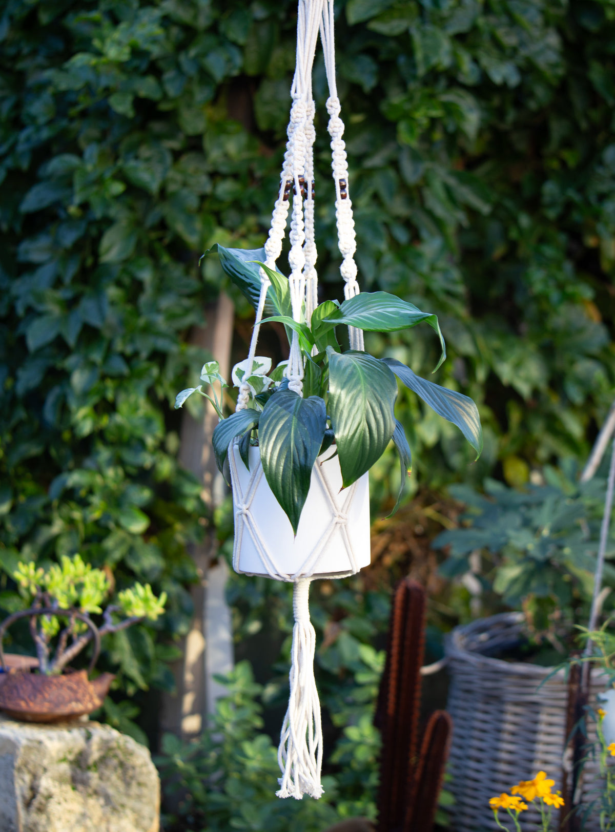 Macrame Cotton Plant Hanger - Brown Bead. 104cm