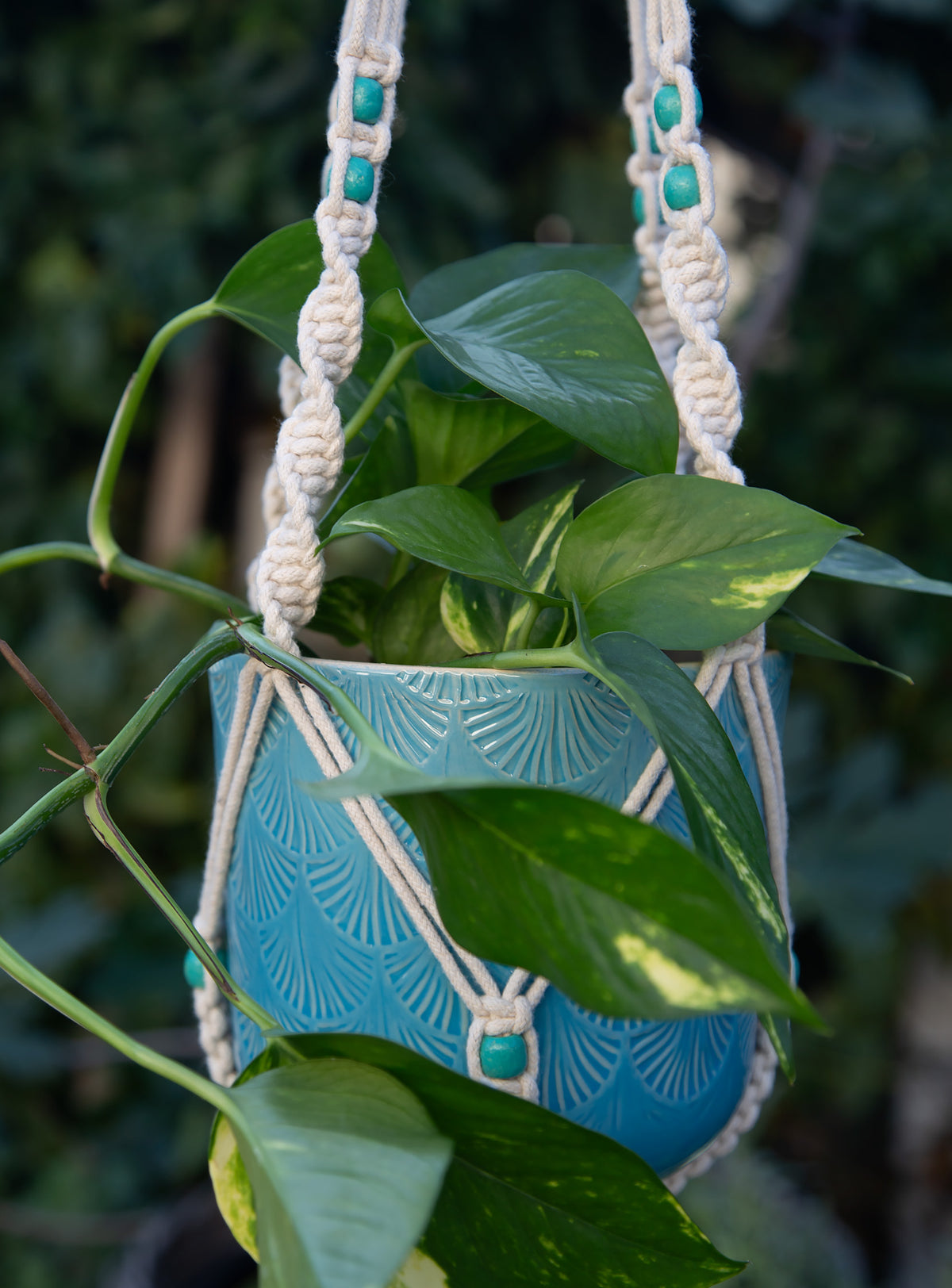 Macrame Cotton Plant Hanger - Turquoise Bead. 99cm