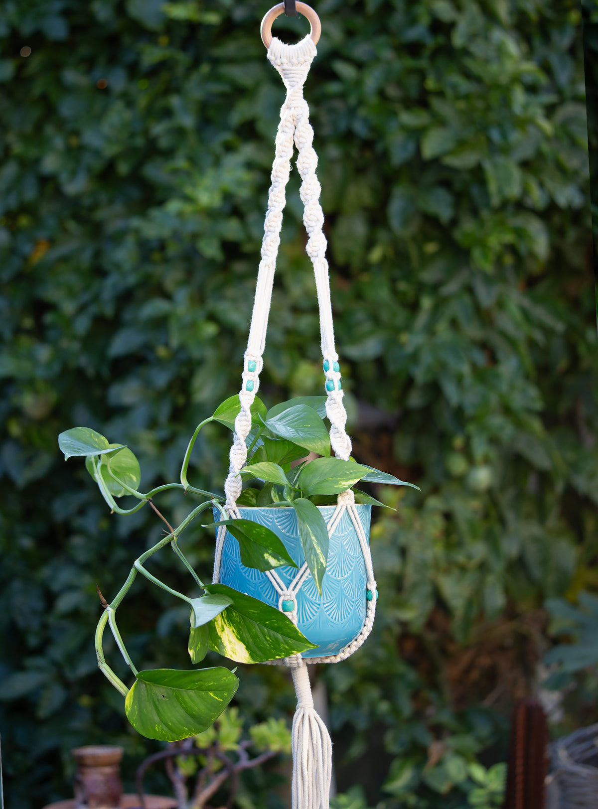 Macrame Cotton Plant Hanger - Turquoise Bead. 99cm