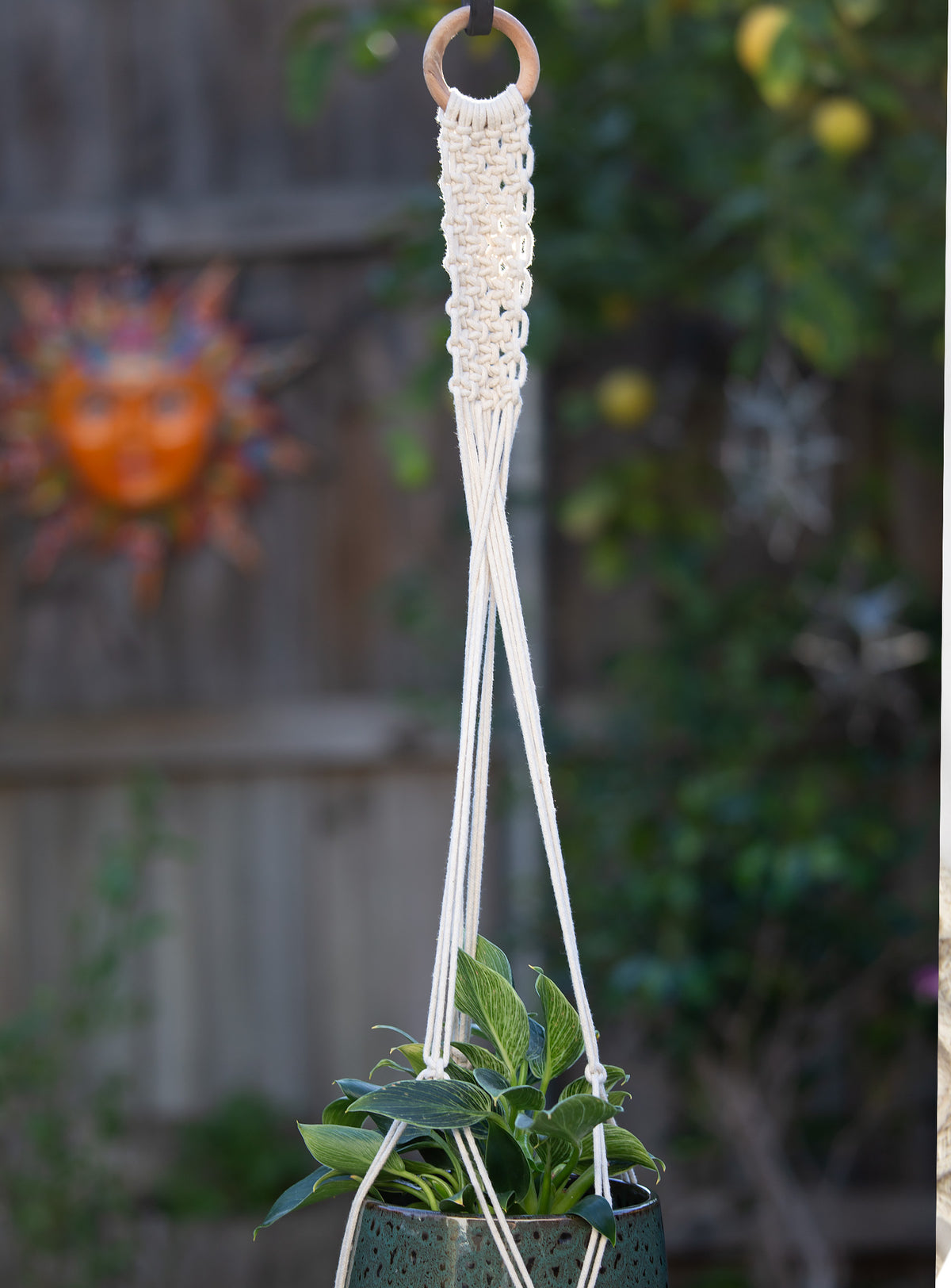 Macrame Cotton Plant Hanger - Band. 100cm