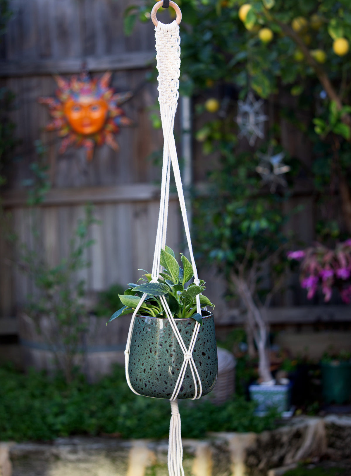 Macrame Cotton Plant Hanger - Band. 100cm