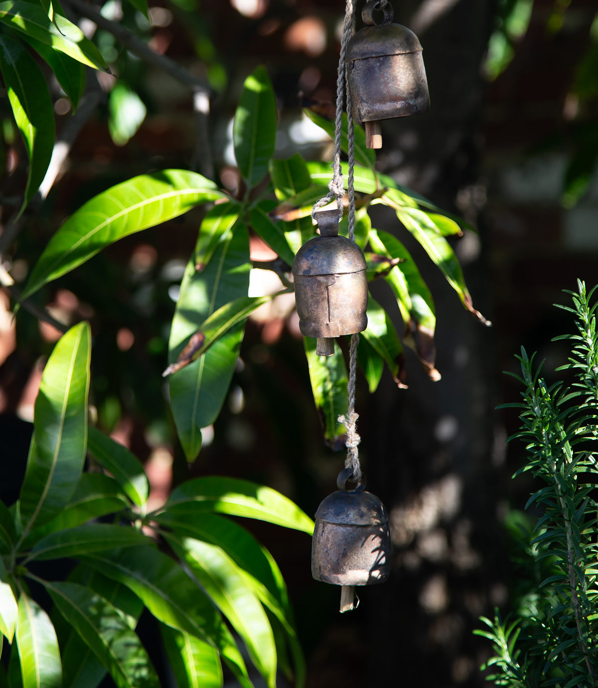 Chime - Juliet Bells. Small