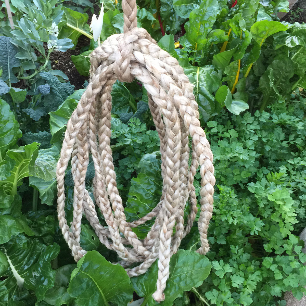 Braided Jute, 10m Bundle, W=2.0cm