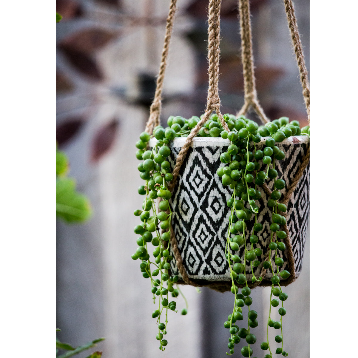 Macrame pot hanger jute