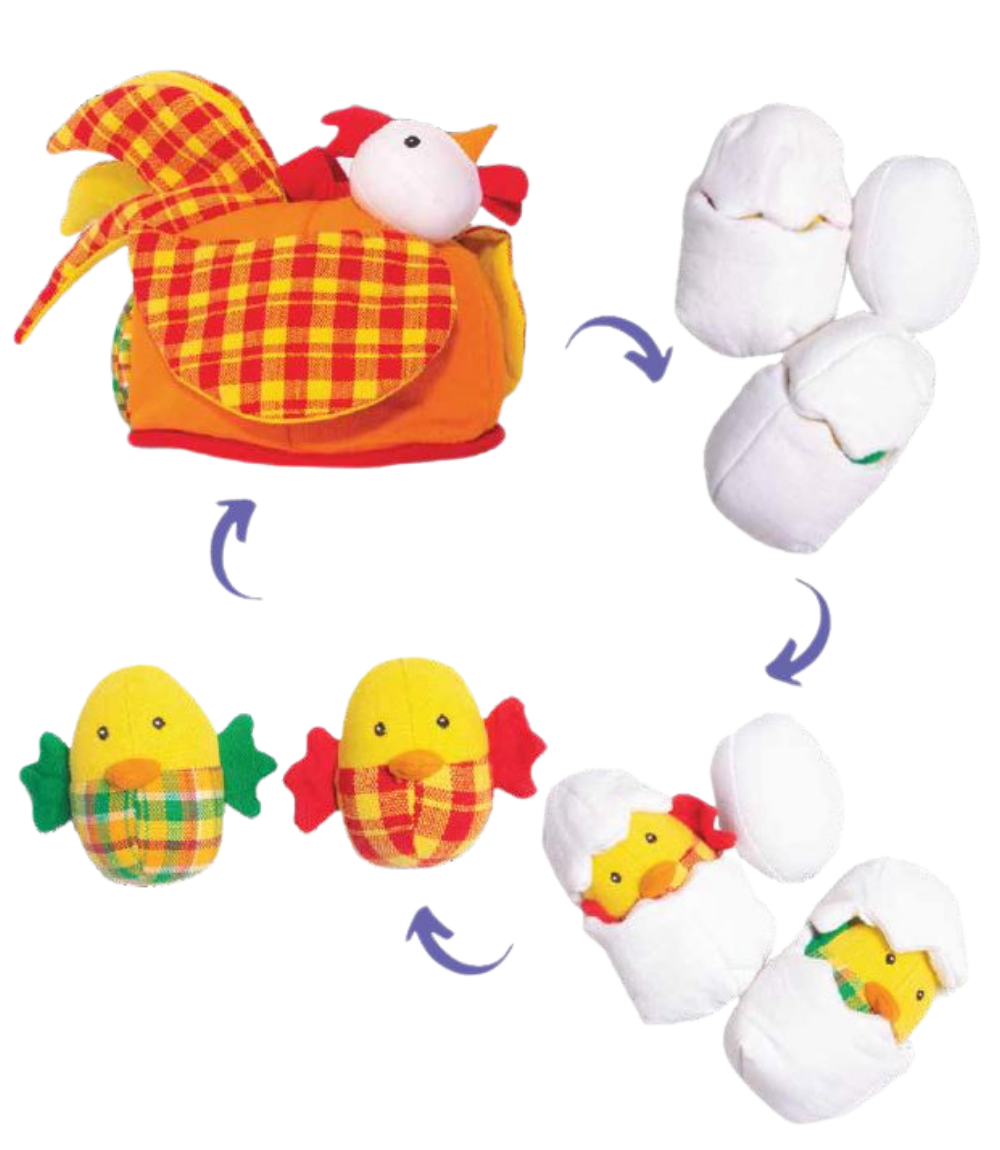 Chicken lifecycle fabric toy
