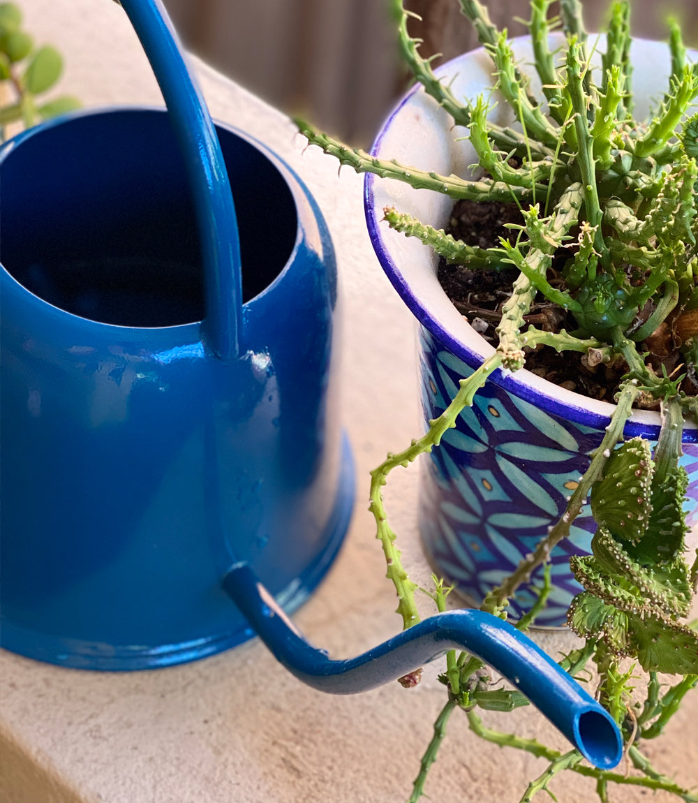 Watering can - blue